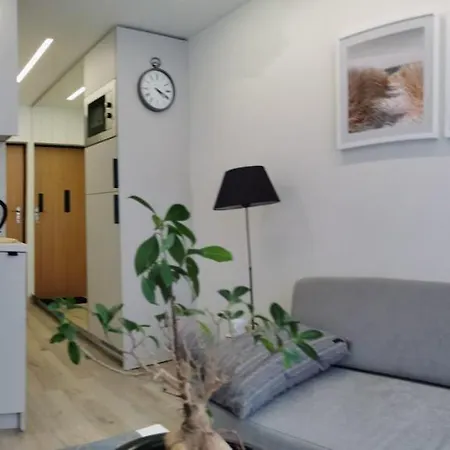 Salia Centro Апартаменты Вильнюс